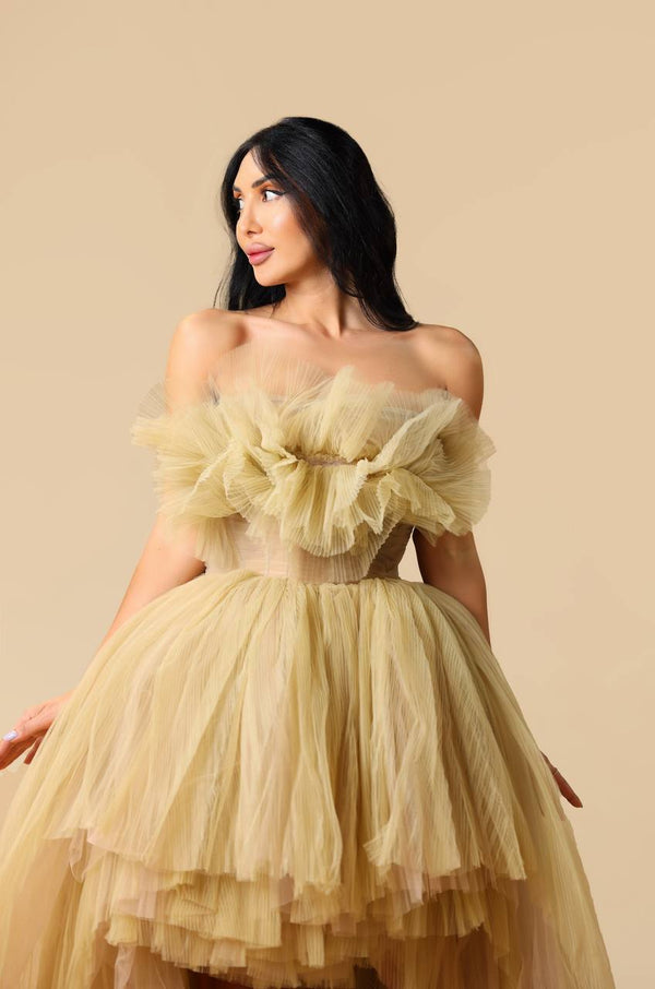 Cinderella dress